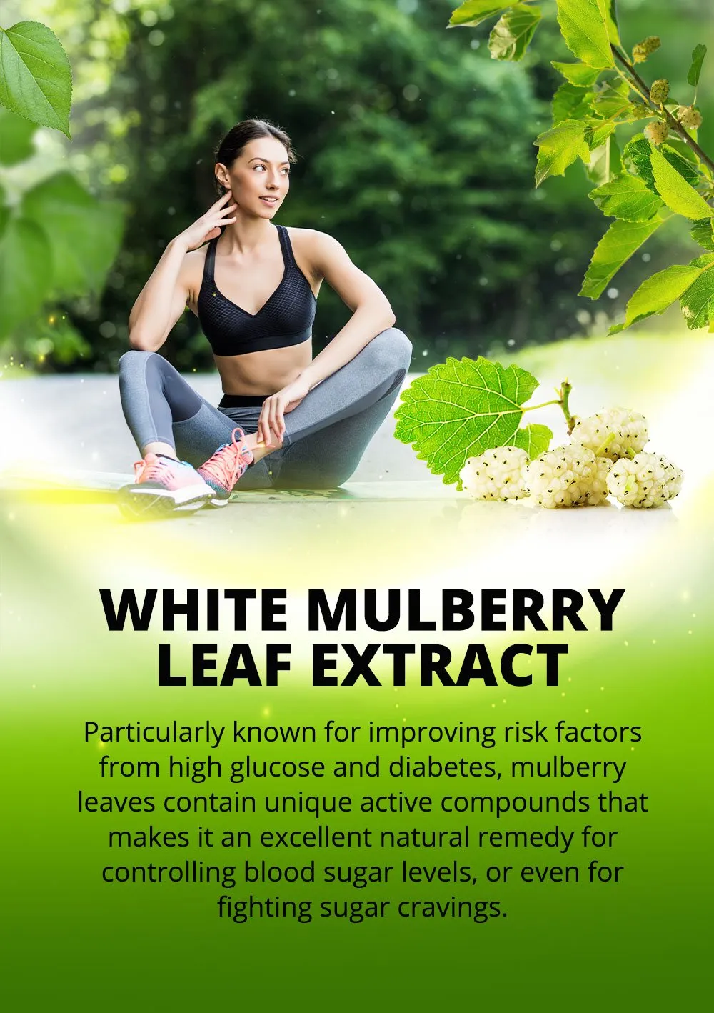 home-bg-v2-mobilev5 white mulberry leaf extract